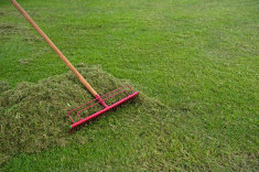 rsz 1stock photo 20916910 gardening
