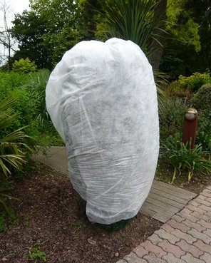 rsz 3700466233888 image 1