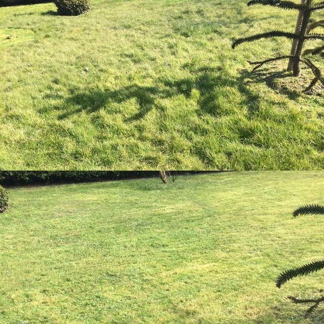 rsz image2